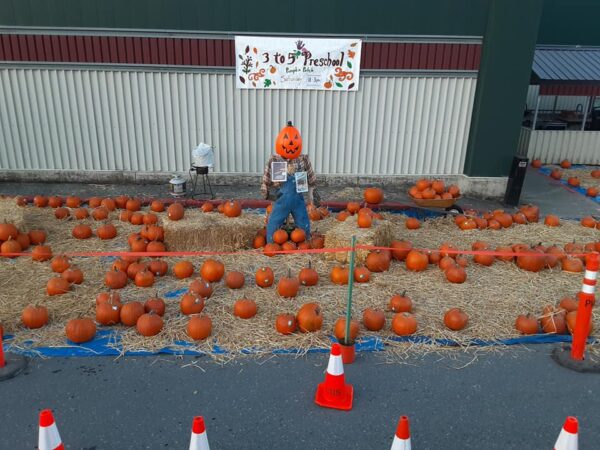 Sitka pumpkin patch in AC Lakeside parking lot