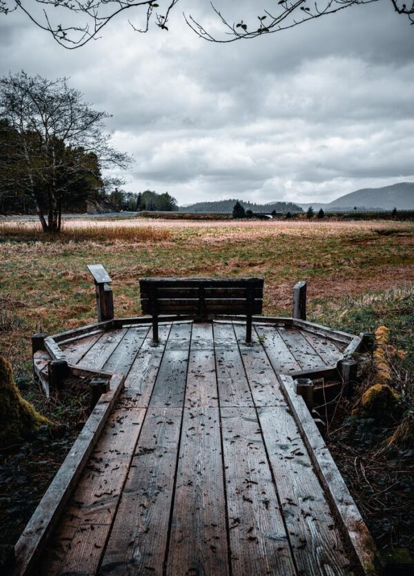 Starrigavan Estuary Loop trail resting bench.
